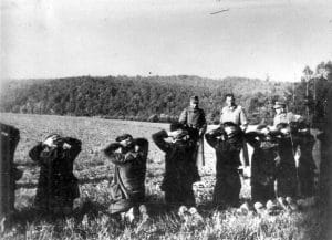 <span style="float: left; font-size: 26px; font-weight: bold; color: black;">3</span> Programme du Conseil National de la Résistance et combats sur le terrain 9 s13.pa3 .016 execution maquisards lantilly MRJ MOI