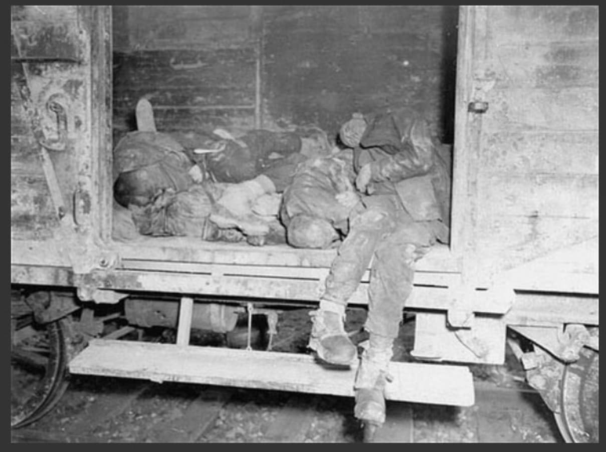 <span style="float: left; font-size: 26px; font-weight: bold; color: black;">1</span> Ampleur du génocide 39 s15.pa1 .012 dachau train 29 avril 1945 MRJ MOI